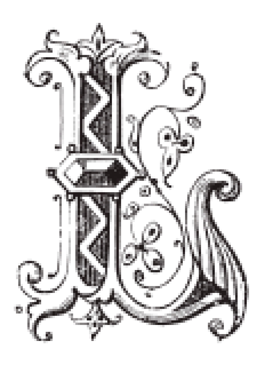 Vectorizado de tipografía ornamental - Antes