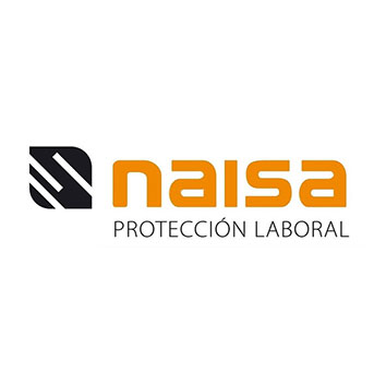 Vectorizar logo - NAISA