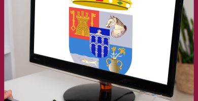 Vectorizados de escudos institucionales
